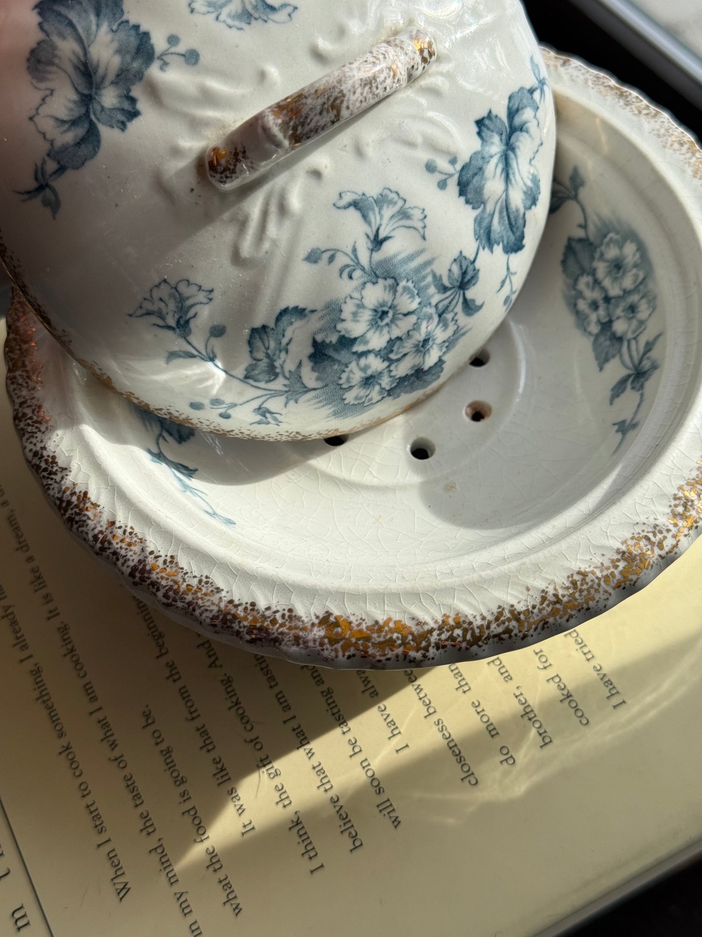 Antique Primula covered soap dish by Dunn Bennett & Co