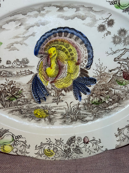 RESERVED: Beetheharvest