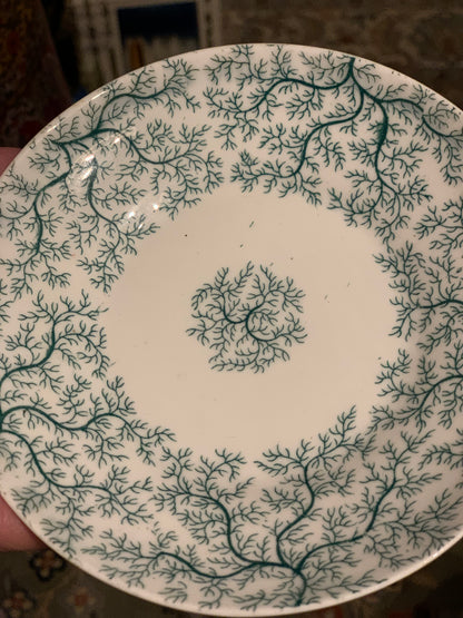 Seaweed pattern saucers 4 available  priced individually (OTTV 3326.3)