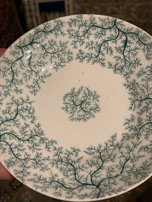 Seaweed pattern saucers 4 available  priced individually (OTTV 3326.3)