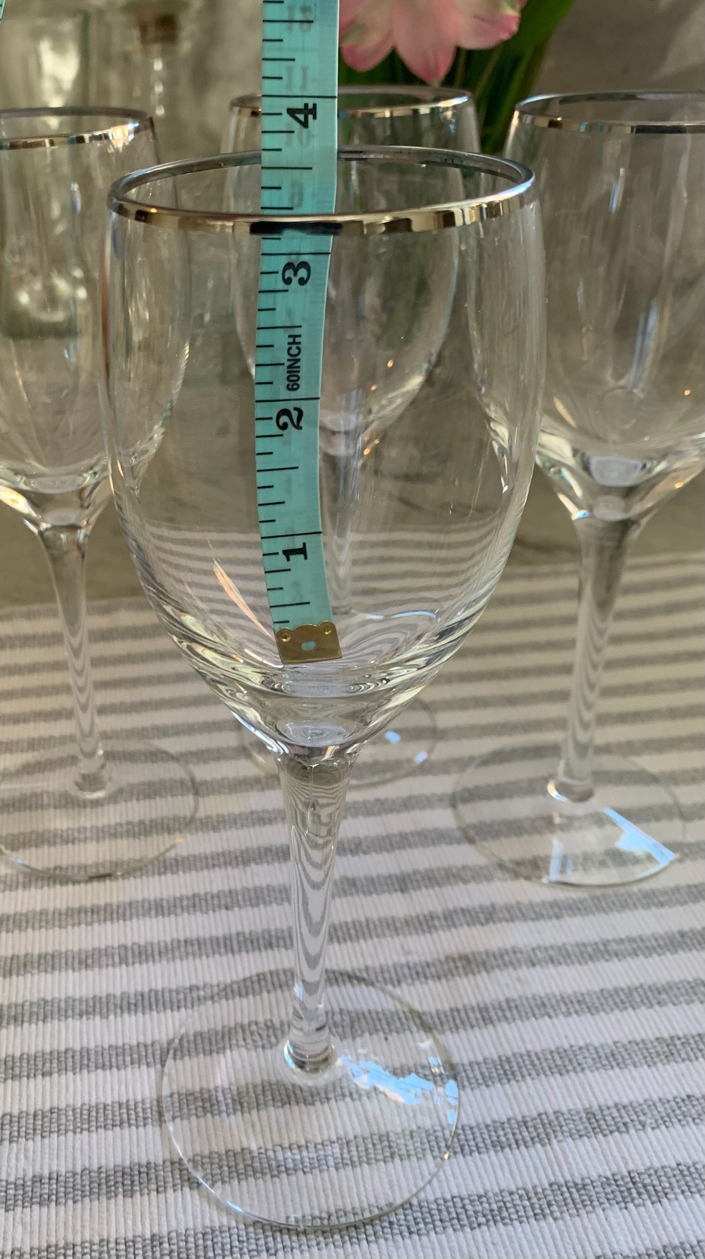 Silver Rim wine Goblet pair (OTTV 1201) sold in PAIRs (one pair left)