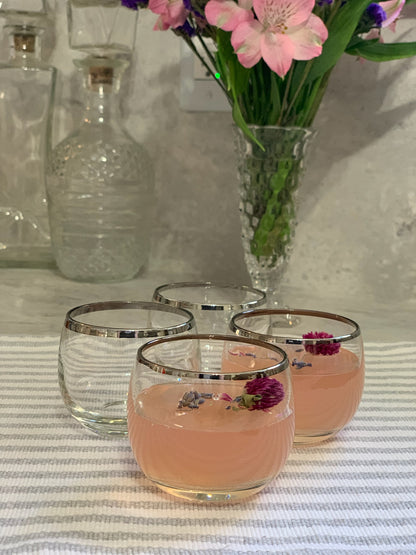 Roly Poly silver rim bar glasses pair 1960's (OTTV 1066) sold in pairs