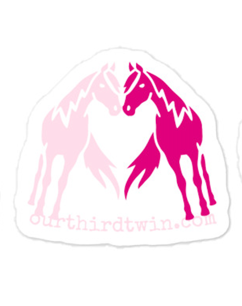 STICKER FOR DONATION TO BELIEVE RANCH & RESCUE FUNDRAISER